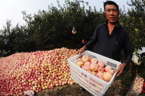 棉花為啥是戰略物資?脫離工業化的農業,都是不持久的... 棉花為啥是戰略物資?脫離工業化的農業,都是不持久的...
