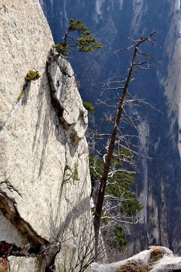 乘坐西峰索道上華山