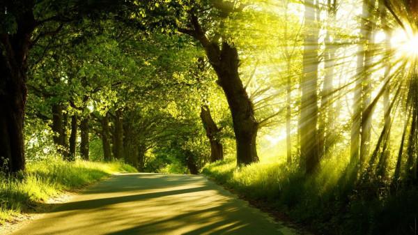 12星座致富能力比拼，致富不容易，除了努力工作，還需要運氣好