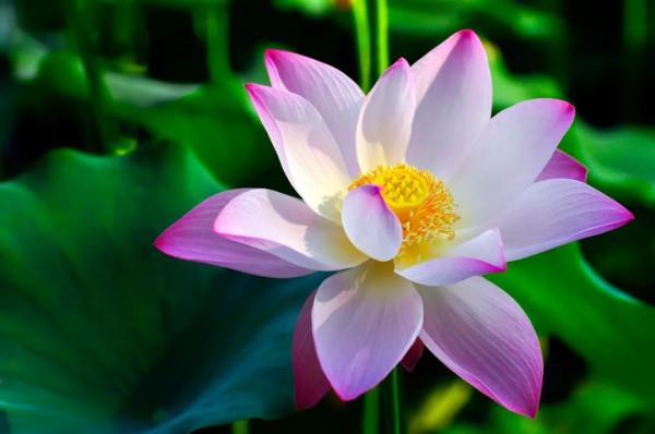 做人的十大境界、十大原則、十大醒悟、十大心機、十大智慧! 做人的十大境界、十大原則、十大醒悟、十大心機、十大智慧!