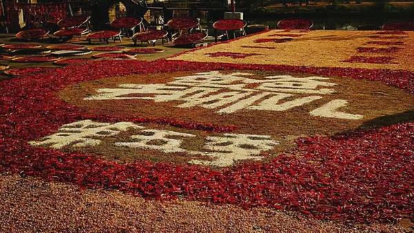 11月，必去的10個古村落，每一個都美得獨特，讓你不想離開