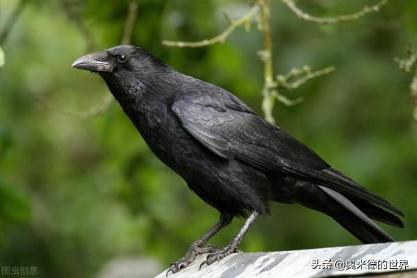 讓世遺活起來，關於&OpenCurlyDoubleQuote;北京故宮&rdquo;的10個冷知識，你知道幾個？