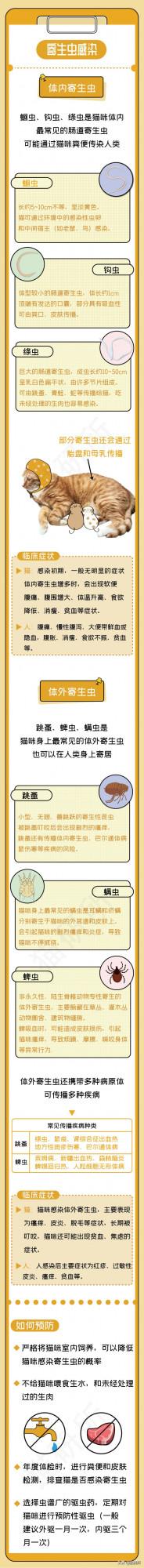 一張圖學會預防4類人貓共患病