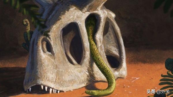 自然科學：滅絕恐龍的災星竟是蛇類繁盛的福星