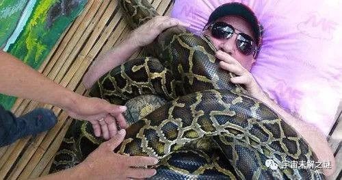 太奇葩：兩起主人被寵物害死的事件！肇事寵物被帶回警局審問？