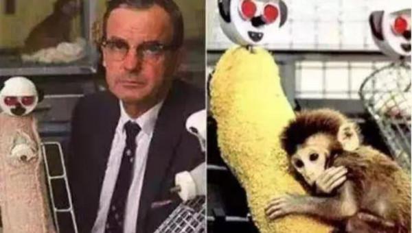 把孩子抱起來 把孩子抱起來