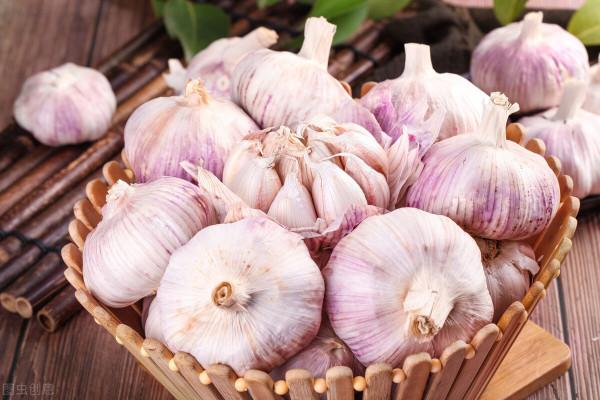 才知道,大蒜儲存有妙招,不腐爛不變黑,很實用 才知道,大蒜儲存有妙招,不腐爛不變黑,很實用