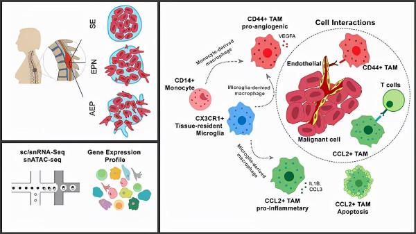 腦科學日報:睡眠不足,對大腦的傷害是毀滅性的 腦科學日報:睡眠不足,對大腦的傷害是毀滅性的