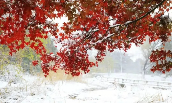 崔各莊8折新盤取證，朝陽市場能否也火一把