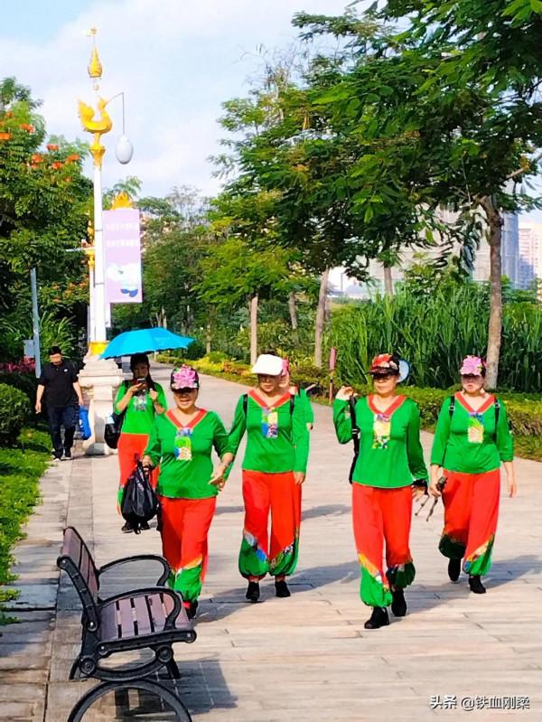 我用800字簡介西雙版納景洪市區10個免費遊景點 我用800字簡介西雙版納景洪市區10個免費遊景點