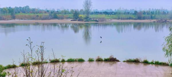 西高新絲路科學城國際社群,絕美風景,秋日勝春朝 西高新絲路科學城國際社群,絕美風景,秋日勝春朝