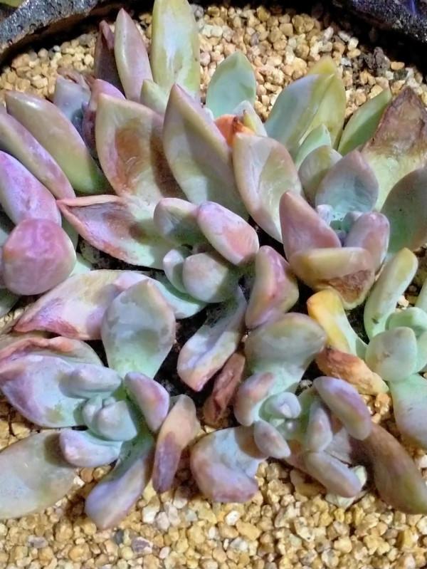 今年天氣真夠嗆