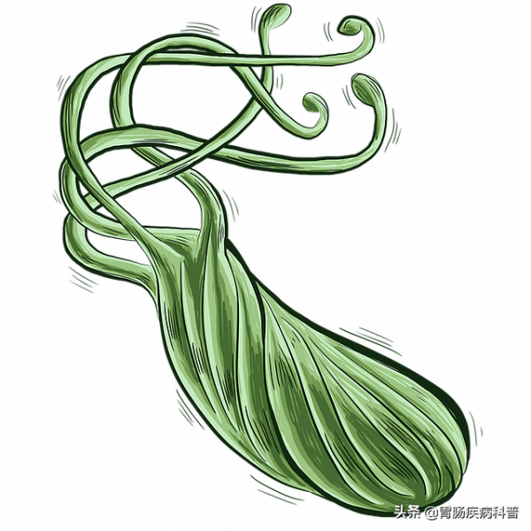 慢性胃病總也好不了?你吃對藥了嗎? 慢性胃病總也好不了?你吃對藥了嗎?