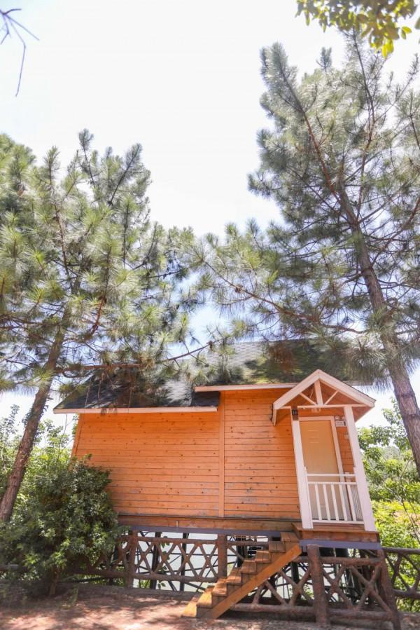 周邊遊｜住進小木屋泡私湯，乘網紅小火車玩彩虹滑道