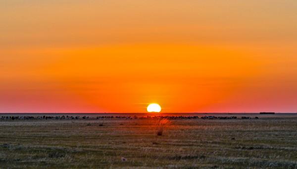 怎麼取出好記有趣又有辨識度的名字?三招教你 怎麼取出好記有趣又有辨識度的名字?三招教你