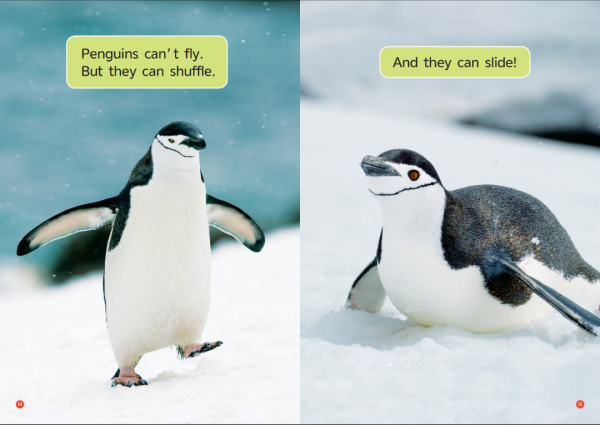 1.4折我愛了!是大家都想要的國家地理 1.4折我愛了!是大家都想要的國家地理