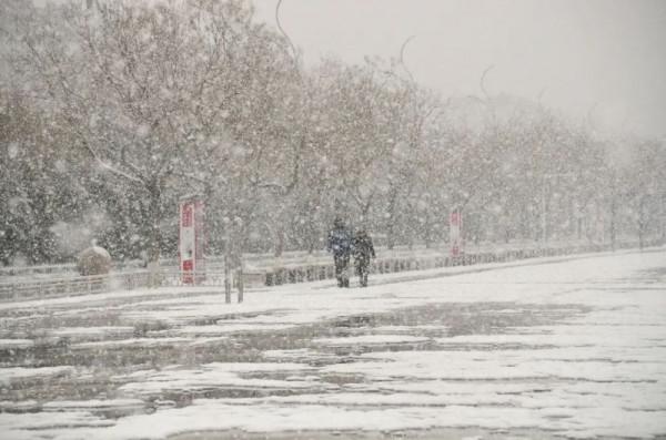 今日大雪,且以深情共白頭 今日大雪,且以深情共白頭