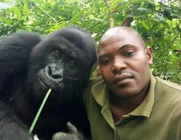 首例豬心臟成功移植入人體內，人面獸心成為現實？