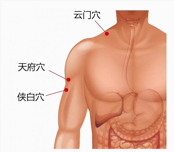 肺氣不足怎麼辦？老中醫提醒：2個穴位按一按，還你一個健康的肺