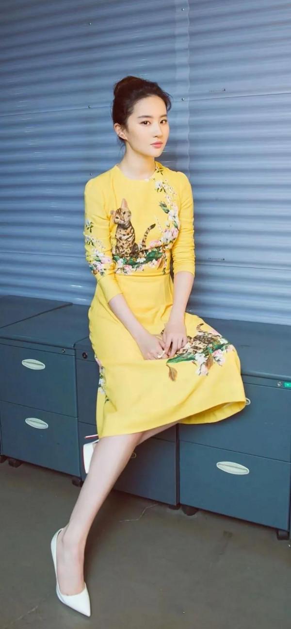 劉亦菲的圖 劉亦菲的圖