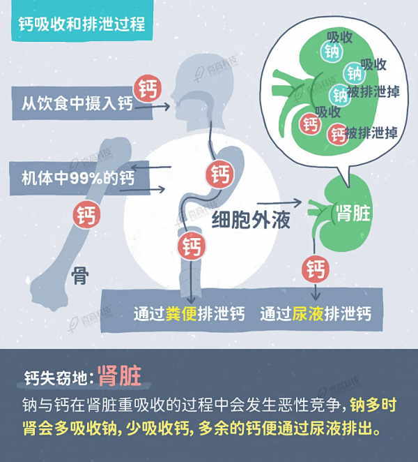 補鈣不注意這4點，喝再多牛奶都沒用