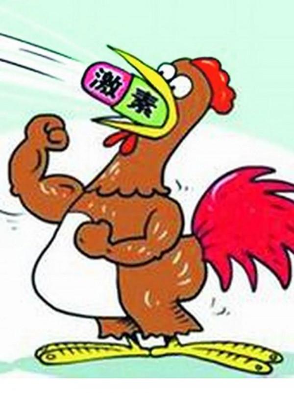 40天就出欄的白羽雞是激素雞還是6翅8腿的怪雞呢？