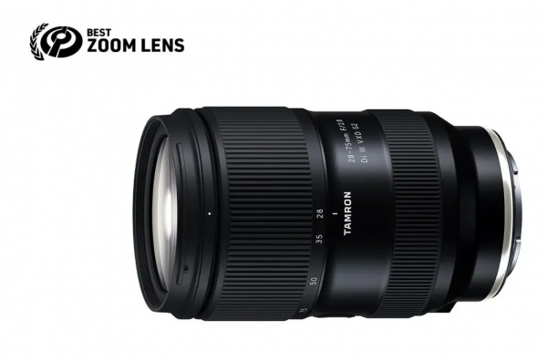 老外如何評選2021年度最佳相機？佳能尼康索尼花落誰家