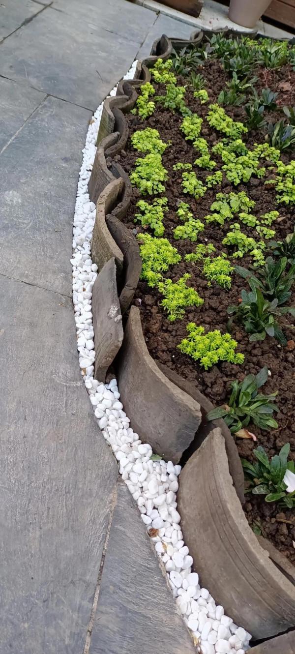 小花鏡繼續改造中