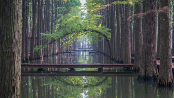 適合小住幾天的醉美慢城,走進風景裡,過最愜意的慢生活 適合小住幾天的醉美慢城,走進風景裡,過最愜意的慢生活