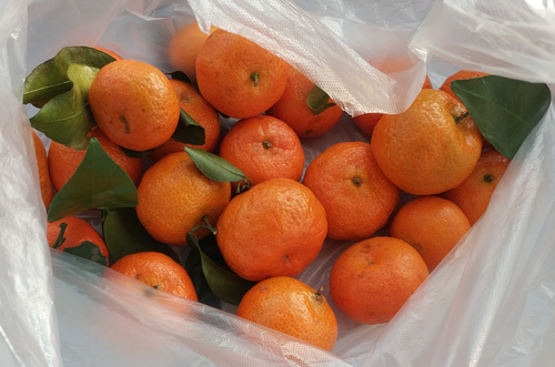 勸年輕人過年別碰砂糖橘,不然真停不下來 勸年輕人過年別碰砂糖橘,不然真停不下來