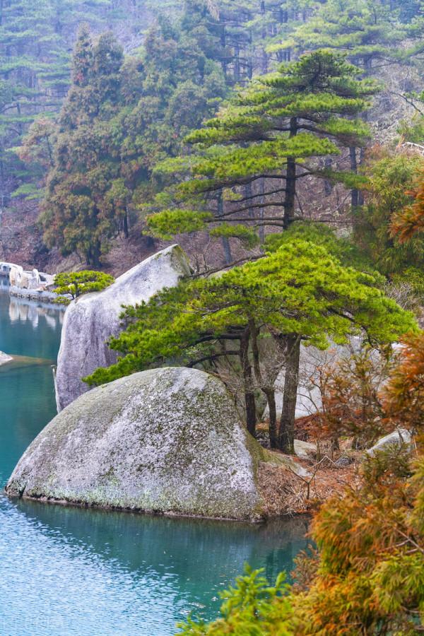 安徽又又又又又紅了 安徽又又又又又紅了