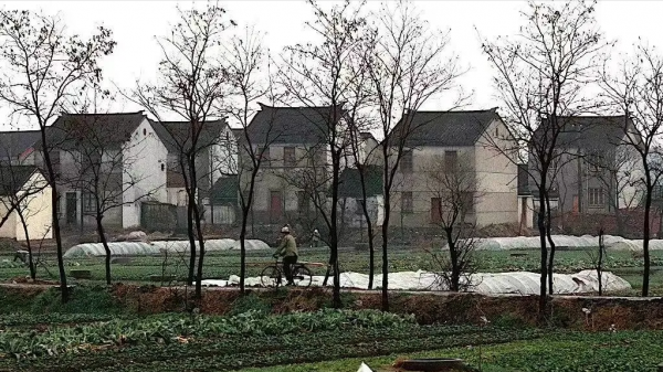 一碗紅糖水 一碗紅糖水