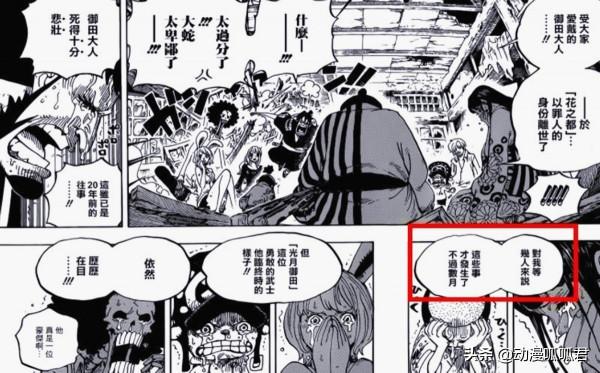 海賊王：神秘人的身份確認，她的目的居然是為了手刃大蛇