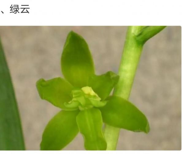 為什麼很多人養花養不活