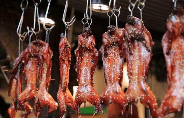 澳洲野兔氾濫成災，政府六次圍剿控制，不能吃嗎？現實決定沒法吃