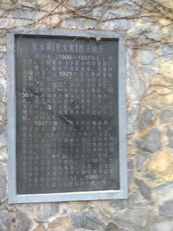 遊東庵森林公園