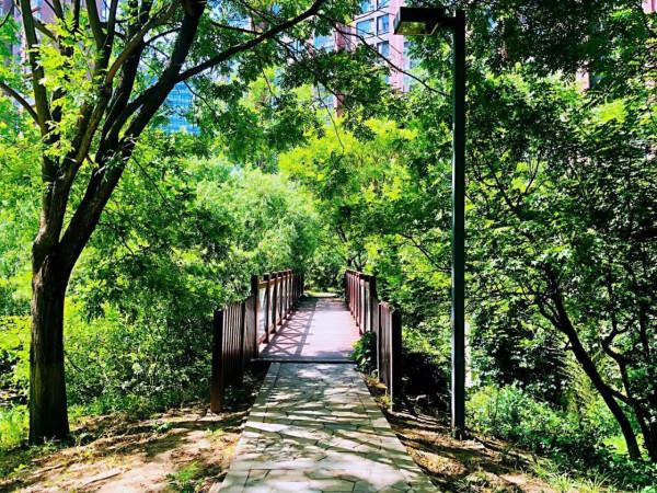 望京三傑之融科橄欖城