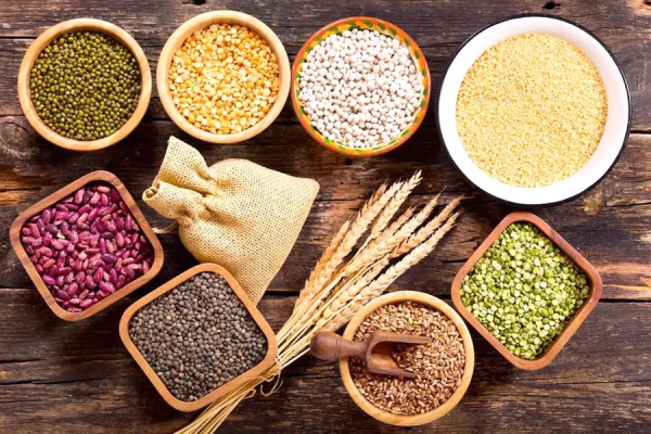 不吃主食來減肥,越減越肥危害不小;主食不能少,關鍵吃對吃好 不吃主食來減肥,越減越肥危害不小;主食不能少,關鍵吃對吃好