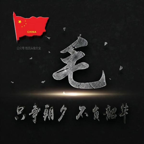 200張正能量姓氏頭像，張張精品，只爭朝夕 不負韶華