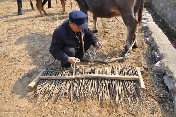 楚國貴族祖上是南方人還是北方人？他們為什麼要“問鼎中原”？