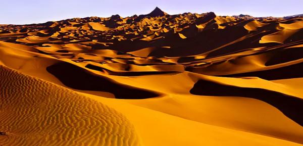 秋天的新疆，美成了桌布