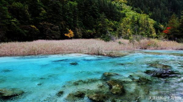 別人的生活:退休了 開始自駕遊 別人的生活:退休了 開始自駕遊