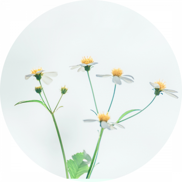 北平說 | 健康過冬，先讓脾胃暖起來