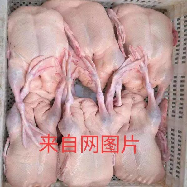 廣東脆皮燒鴨 廣東脆皮燒鴨