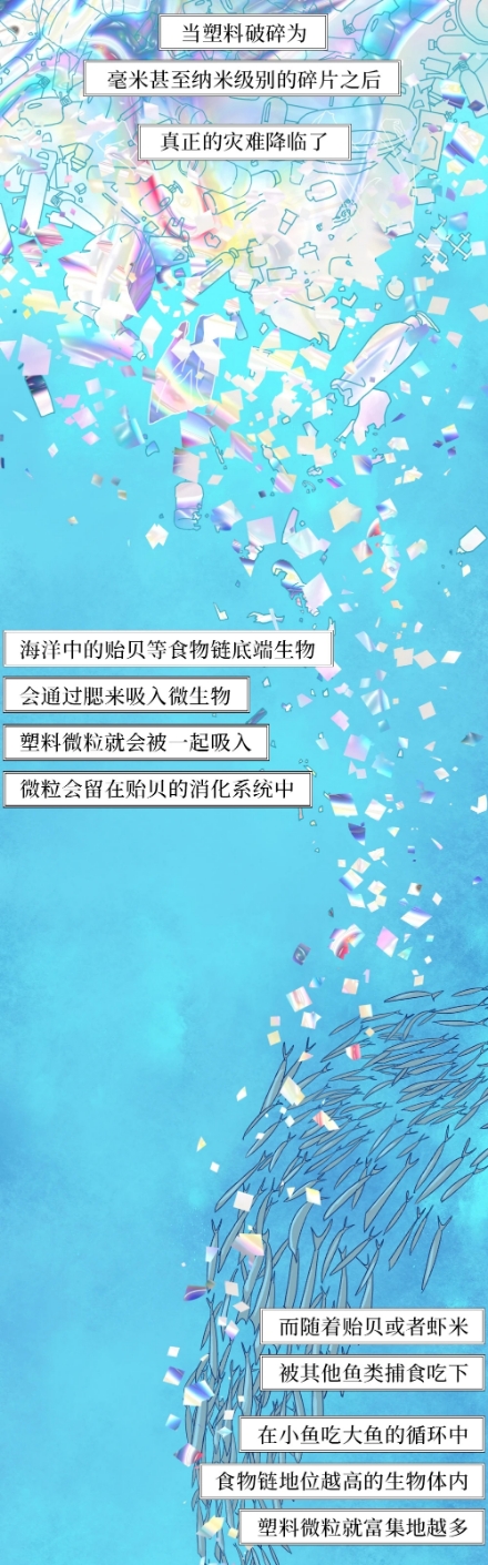 塑膠垃圾進入體內的全過程（漫畫）