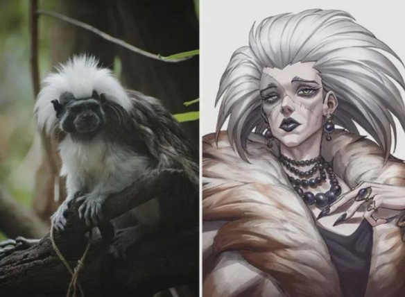 冷門動物擬人 這麼不萌的品種都可以的嗎？