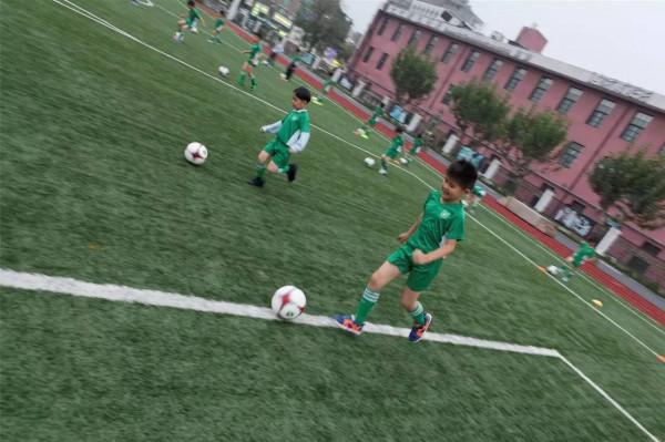 浙江u20全運會奪冠和廣州隊瀕臨解散折射出中國足球的發展問題