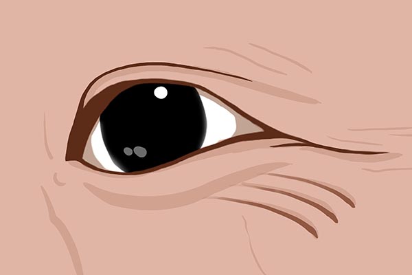 據說：人過45歲，會“斷崖式”衰老！事實真是如此嗎？