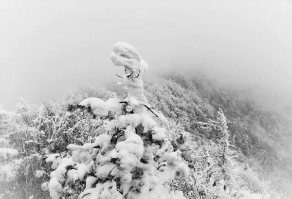 秦嶺古道探秘：水墨義谷古道