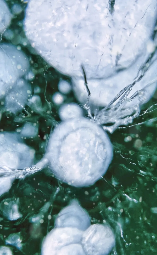 春節假期，昌平這些景點超吸睛，您去哪兒了？